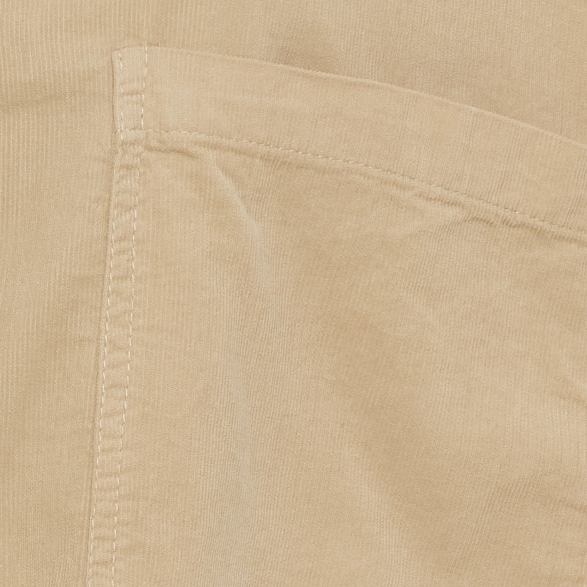 MdcColine Shirt
