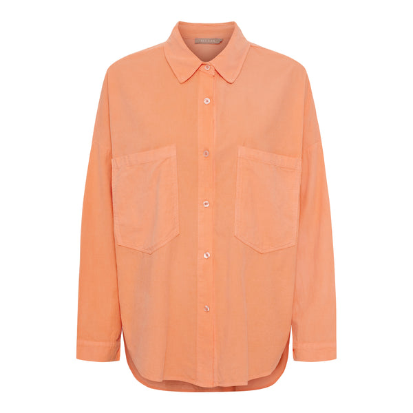 MdcColine Shirt