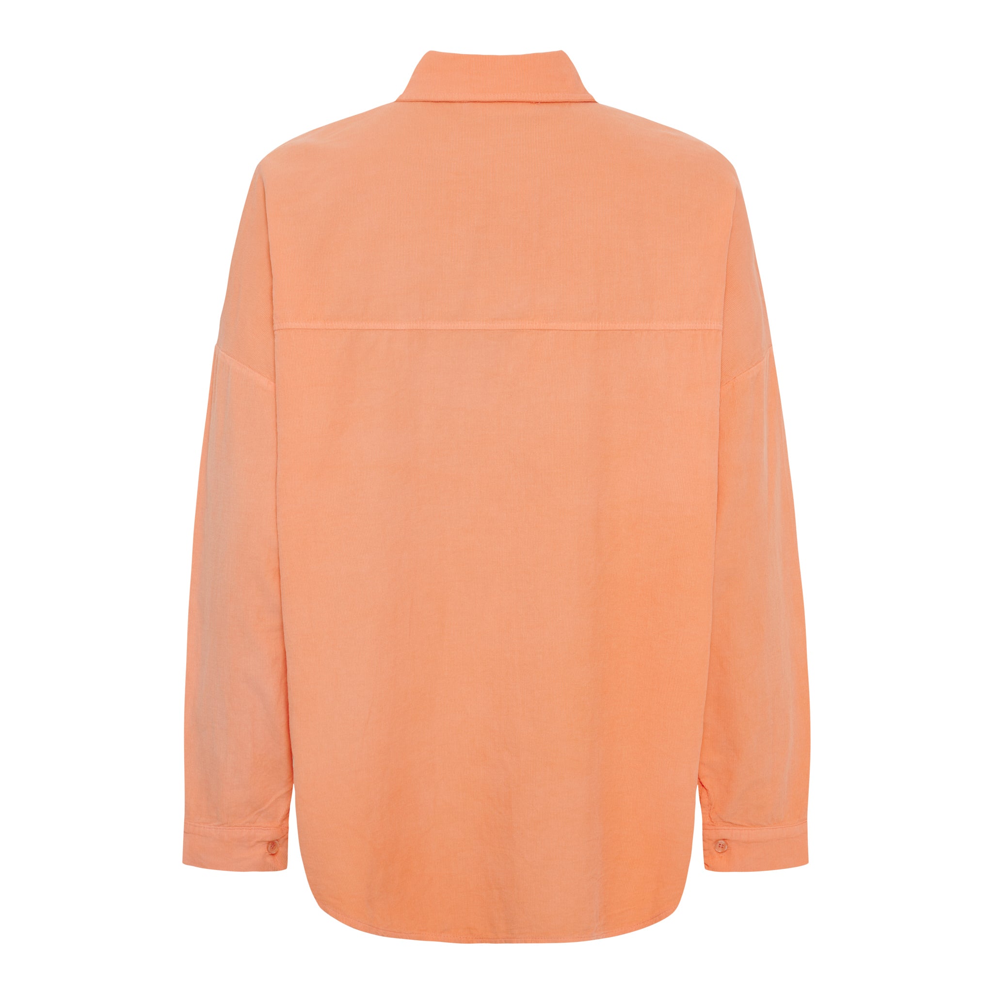 MdcColine Shirt